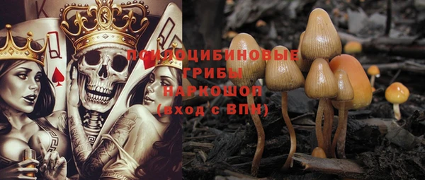 spice Горняк