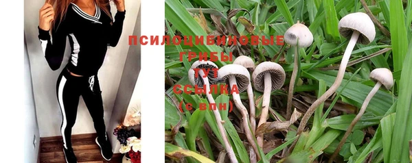 MDMA Вяземский