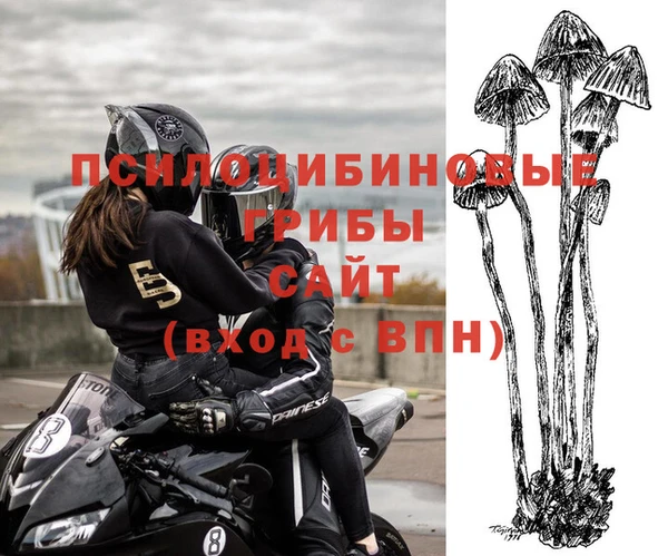 МДМА Горнозаводск